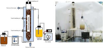 Co-digestion of Oil Palm Trunk Hydrolysate and Slaughterhouse Wastewater for Biohydrogen Production in a Fixed Bed Reactor by Immobilized Thermoanaerobacterium thermosaccharolyticum KKU19 on Expanded Clay